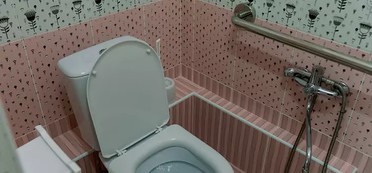 Meeting Diverse Needs With Accessible Restroom Solutions in West Puente Valley, CA